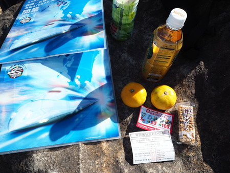 19¡Ý´³Î¦ÃÏ¥Õ¥é¥ï¡¼¥¾¡¼¥ó£Ê£Ò¥¦¥©¡¼¥¥ó¥°¡¡´ÒÁá»Ô¹âÍèÄ®PA251712