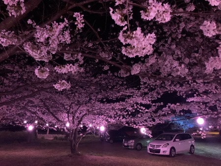 2024.04.03 諫早市森山町 慶師野バス停横広場IMG_8585