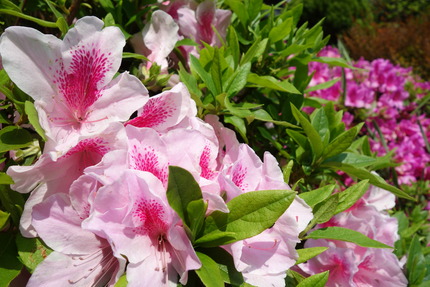 ����-��������DSC05958