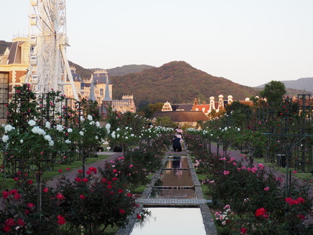 �ϥ����ƥ�ܥ����Х��PB071569