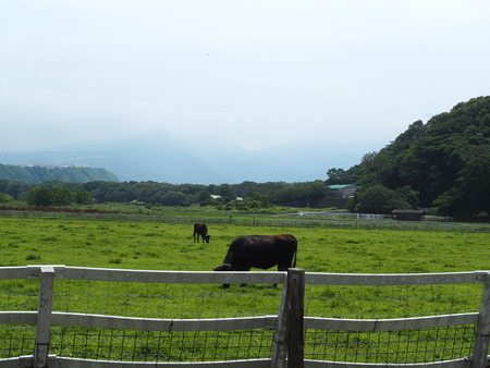 2023.06.10������Կ���Į������դ줢���Ҿ�P1019695