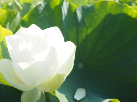 2025.07.22¡¡ëÝÁá»Ô¡¡ÅâÈæ¥Ï¥¹±à¡¡ÁÐÆ¬Ï¡P7230017