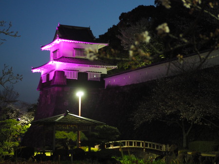 2023.03.26 大村市 大村公園P1010474