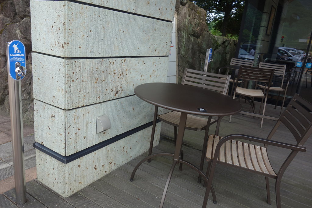 ワンコと一緒にコーヒータイム スターバックス金立サービスエリア店 下り 長崎 諫早市民 ふくちゃんの食う 寝る 遊ぶ日記 ワンコと一緒にコーヒータイム スターバックス金立サービスエリア店 下り 長崎 諫早市民 ふくちゃんの食う 寝る 遊ぶ日記