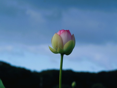 ����Կ���Į������ϥ���P1010395