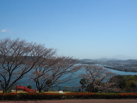 2024.03.30 多良見のぞみ公園P3290107