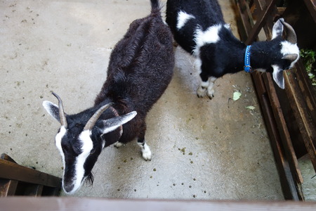 15-13-9-�ۥƥ�����ϰDSC09256