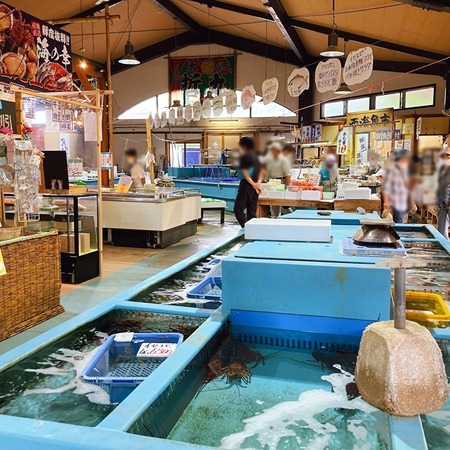 魚魚市場_1630673826
