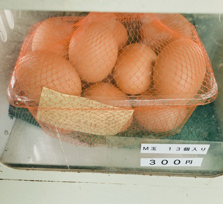 2023.02.07 ´ÒÁá»Ô¡¡¸Å²ìÍÜ·Ü¡¡M¶ÌIMG_3070