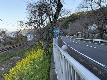 ¿�ɸ�Į����Х���κڤβ�IIMG_3056