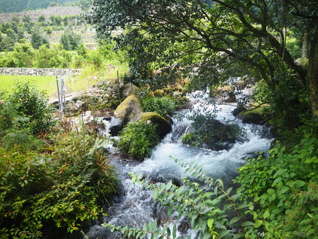 9-������项��Į����ޤ��ΤP8220376