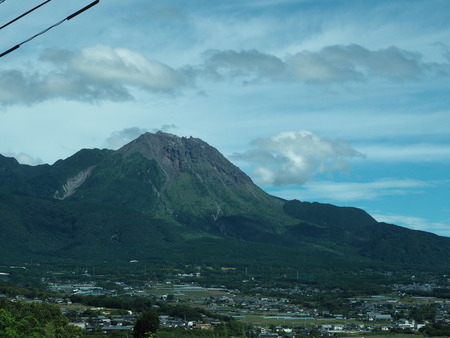 2022.07.30�����縶�Կ���Į�����λ���P7303662