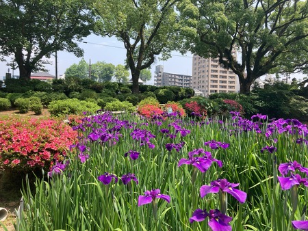 2022.05.24���������IMG_8251