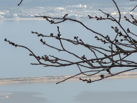 ���ᡡ�������⸶����IMG_3542