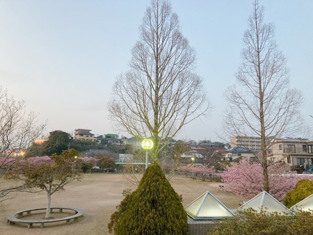 2022.03.04 大村市 久原公園IMG_0289