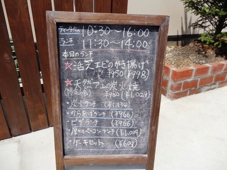 9-DSC09198