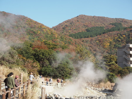 �����Ϲ�PB141372