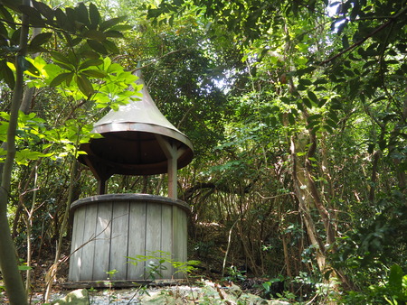 2023.07.29Ĺ��԰˲��硡�ץ쥸�㡼�������ɥߥ塼������P1010838