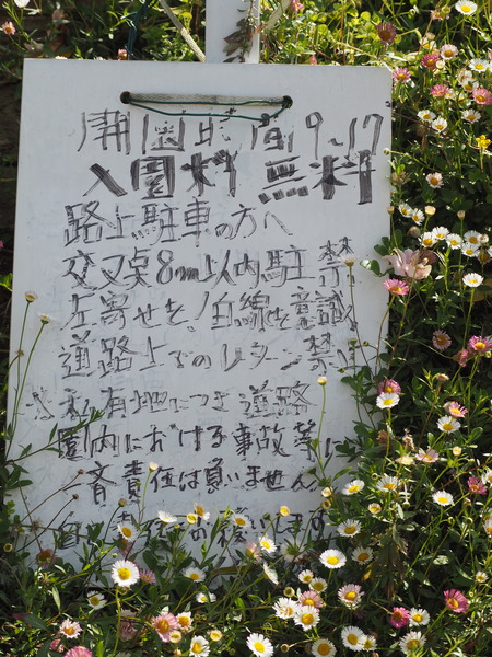 2023.04.22 長崎市琴海 ハッピーテラスP1015600