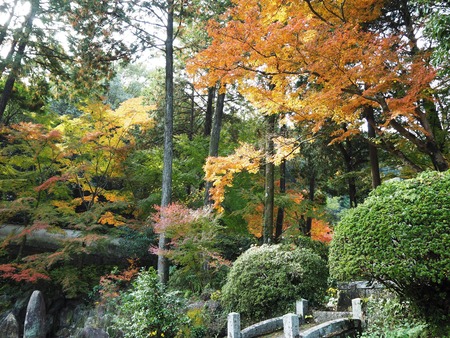 2021.11.21������ԡ�ŷʹ��PB187343