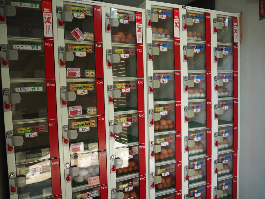 ほぉー 変わりダネ自動販売機スポットを発見 島原市有明町 長崎 諫早市民 ふくちゃんの食う 寝る 遊ぶ日記