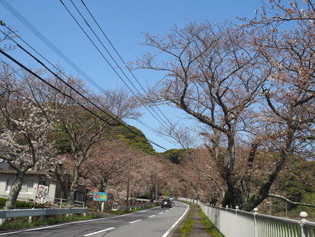 2024.03.30 多良見古川バス停P3290054