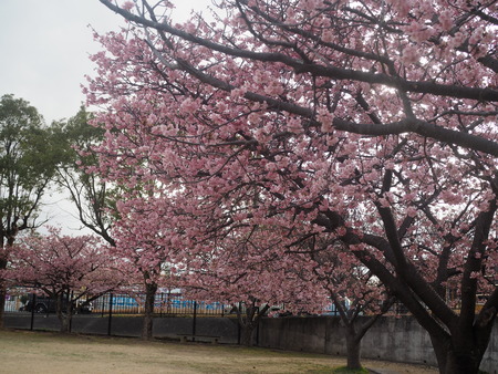 �׸�����β��ź�P2221484