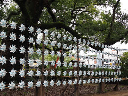 2025.08.09¡¡ëÝÁá¿À¼Ò¤ÎÉ÷¼ÖP8100330