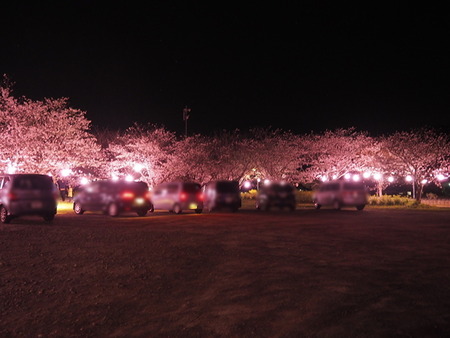 brFFF2IMWAByFoq1680271565_1680271628