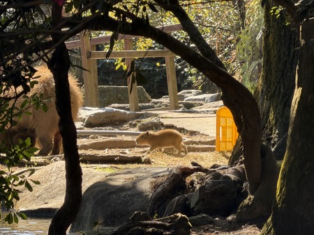 Ĺ��Х����ѡ��������ԥХ���֤����IMG_0578