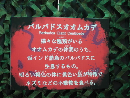 2021.11.13 佐世保 森きらら ゾッとするいきもの展PB136273