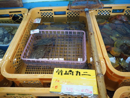 12-諫早市高来町 深山水産 かき小屋P1161413