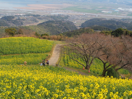 �������⸶�����ʤκ�����P3151400