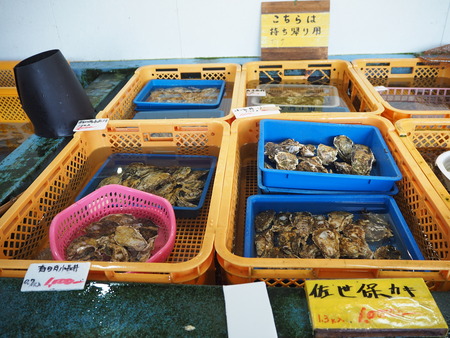 13-諫早市高来町 深山水産 かき小屋P1161416