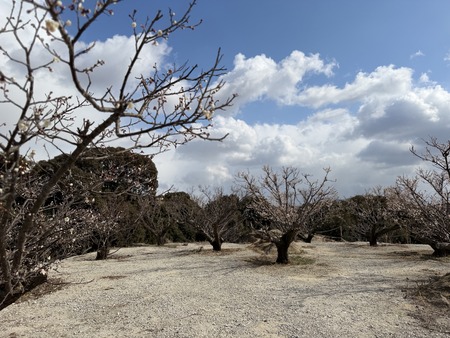 ��ۻ����ҡ��߱�IIMG_7108