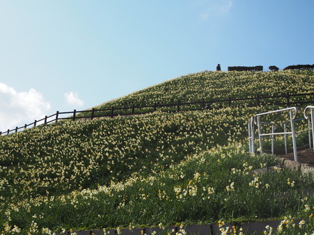 Ĺ�������ꡡ����ε֡���¦Ÿ˾��P1012028