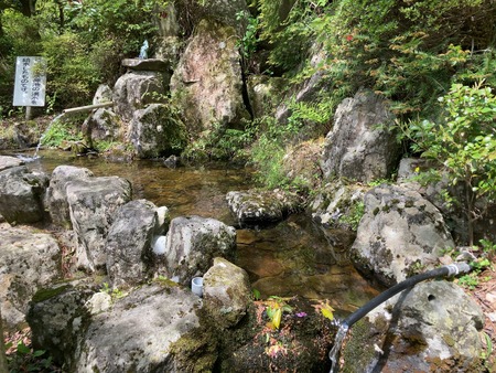 2025.07.19�����ὤ¿��ο������߾�IMG_1278