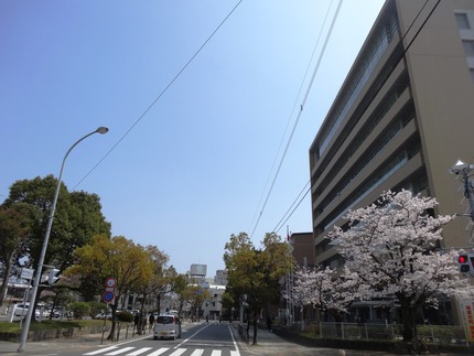 2-DSC08552