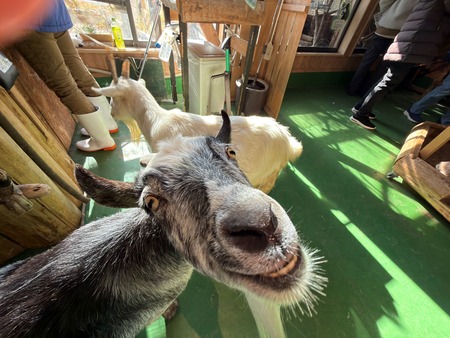 .Ĺ��Х����ѡ������ѥ�IMG_0825