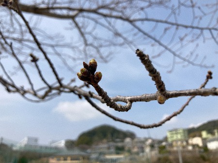 2023.03.12 長崎市 立山公園IMG_4341
