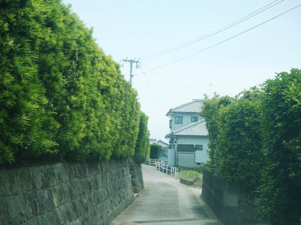 commercial 布津町