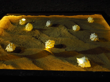 Ҷȿͥ˥åȡҤܤPA141671