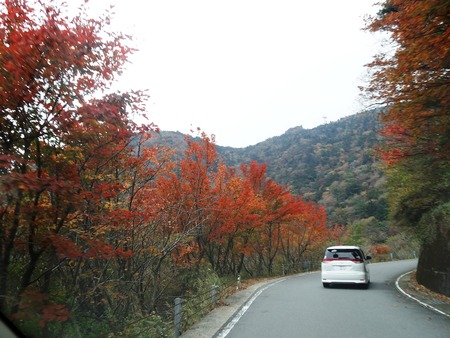 u-13DSC03581