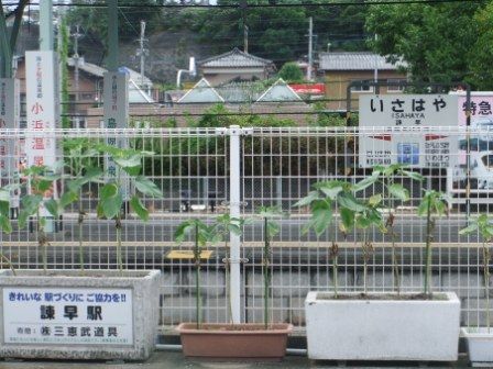 シーサイドライナーの車窓から（諌早駅～長崎駅） : 長崎＠諫早市民
