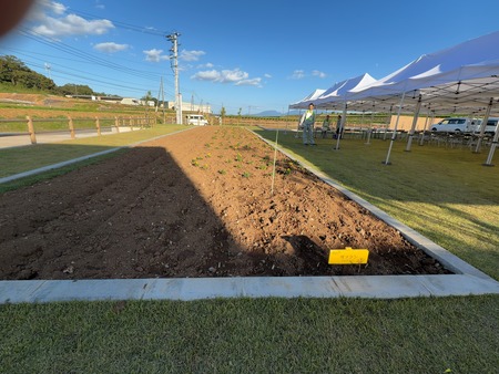 ëÝÁáÆ»¤Î±Ø¤¤¤¤¤â¤ê¤¸¤ã¤¬¡¼¥í¡¼¥ÉIMG_1782