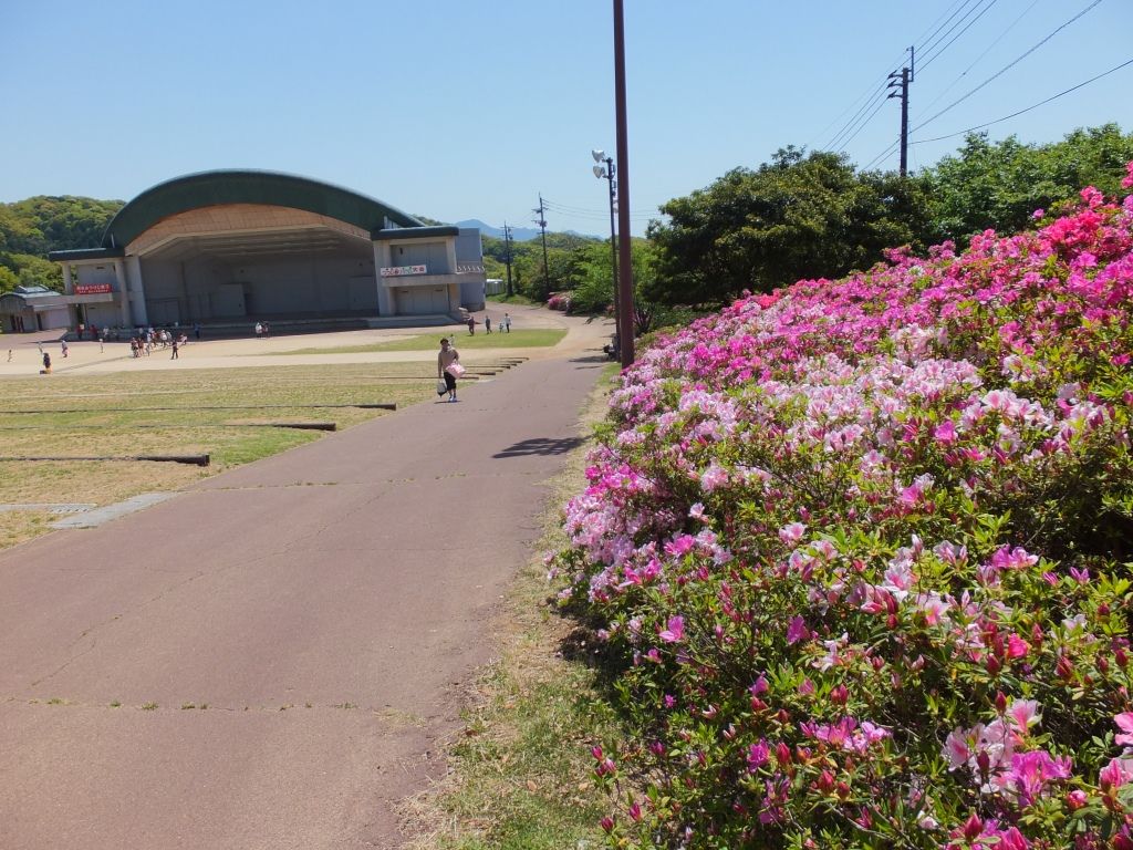稲佐山は春色 稲佐山つつじまつり 長崎 諫早市民 ふくちゃんの食う 寝る 遊ぶ日記 稲佐山は春色 稲佐山つつじまつり 長崎 諫早市民 ふくちゃんの食う 寝る 遊ぶ日記