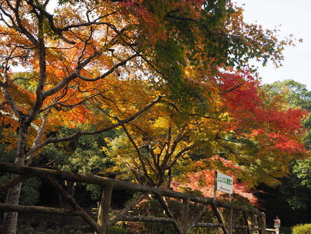 2021.11.21������ԡ��廳����PB187511