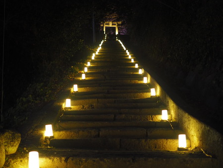 ���Ͳ�������ץ��������ȡ��쾮�Ϳ���P2281437