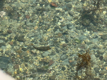 ��¼�ѡ��ե�IMG_5227