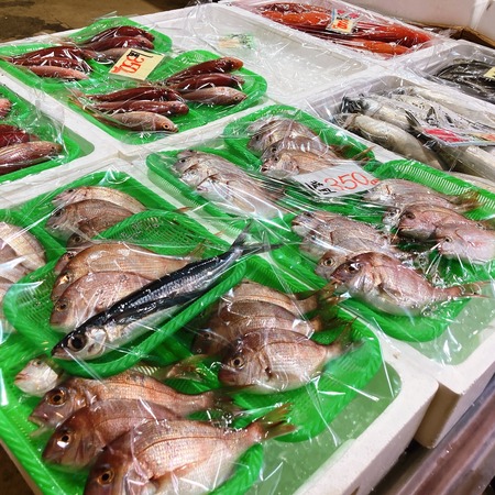 2021.09.03 西海橋物産館 魚魚市場IMG_4675